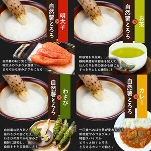 とろろ【ZIP!で紹介されました!】  食べ比べ6種セット 100g × 6種  とろろ 