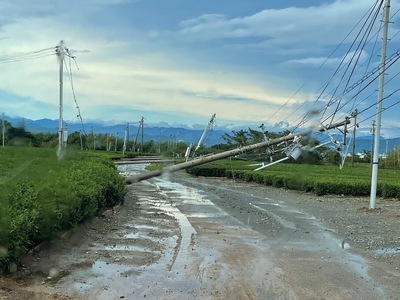 【台風15号災害支援】静岡県 牧之原市 令和7年9月5日 台風 突風 竜巻 災害 災害支援寄附【災害支援寄附金】 (寄附金額：50,000円)【返礼品なし】※いただいた寄附金額は災害復興支援として充てられます 大雨 復興 支援 寄附