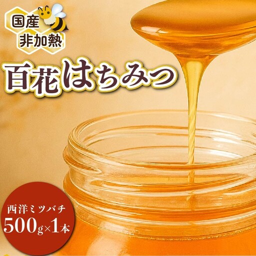 蜂蜜 百花蜜 西洋ミツバチ 500g 蜂蜜 11,520円