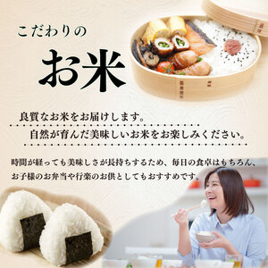 【R７新米】お米 5kg 品種 おまかせ 【 にこまる にじのきらめき きぬむすめ コシヒカリ 】牧之原市