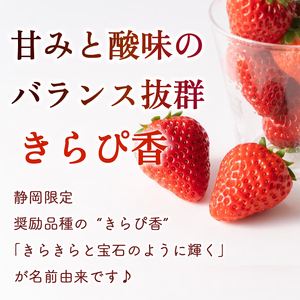 【 期間限定 】 苺 きらぴ香 1000g以上 いちご 1000g × 1パック