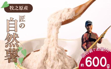 自然薯 600g  個包装 静岡県 牧之原市 自然薯