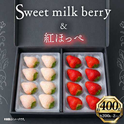 【期間限定】 白いちご  赤いちご 400g  高級 紅白 イチゴ