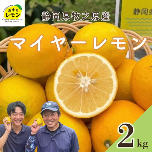 【期間限定】檸檬 マイヤーレモン 2kg  檸檬 6,300円