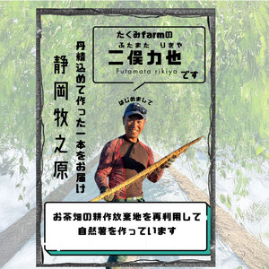 【R7年12月から発送】自然薯 900g  個包装 静岡県 牧之原市 自然薯