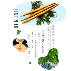 自然薯 1.2kg  個包装 静岡県 牧之原市 自然薯