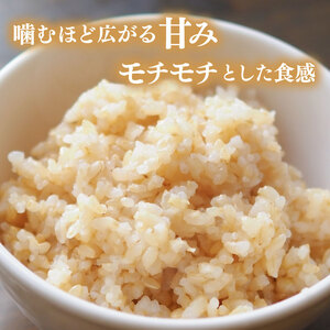 【玄米】 コシヒカリ 玄米 ｜ 5kg こしひかり 令和7年産 玄米