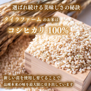 【玄米】 コシヒカリ 玄米 ｜ 10kg こしひかり 令和7年産 玄米