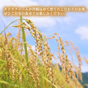 【玄米】 コシヒカリ 玄米 ｜ 10kg こしひかり 令和7年産 玄米