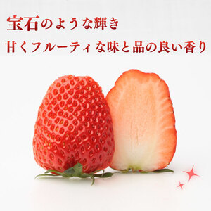 いちご【 期間限定】苺 きらぴ香 いちご イチゴ 苺 1.6kg | イチゴ 静岡県 牧之原市