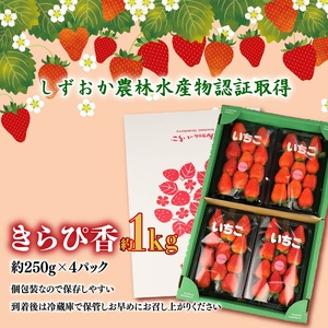 【 期間限定 】 苺 きらぴ香 1kg 苺