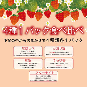 【2026年2月中旬から発送 】苺 4種食べ比べ セット 1kg 250g × 4パック  苺