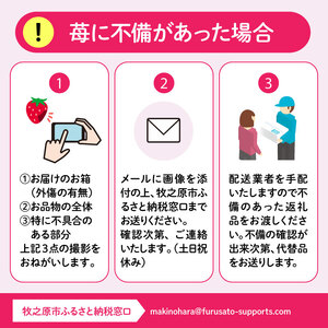 【2026年2月中旬から発送 】苺 4種食べ比べ セット 1kg 250g × 4パック  苺