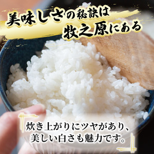 【予約受付】玄米 ひとめぼれ 10kg  国産 edama 牧之原市