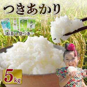 【2026年9月中旬発送】新米 つきあかり 5 kg お茶 セット 静岡県 牧之原市