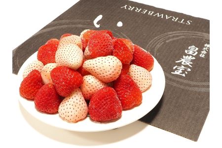115-4　高級紅白いちご冷凍紅白セット　白いちご「Sweet milk berry 650g」紅いちご「紅ほっぺ 650g」