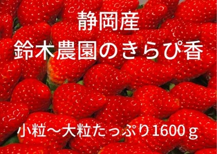 152-2　鈴木農園の朝摘みいちご（きらぴ香）1.6kg（800g×2）