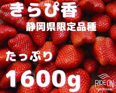 120-9 静岡県限定品種いちご「きらぴ香」たっぷり 1.6kg（800g×2