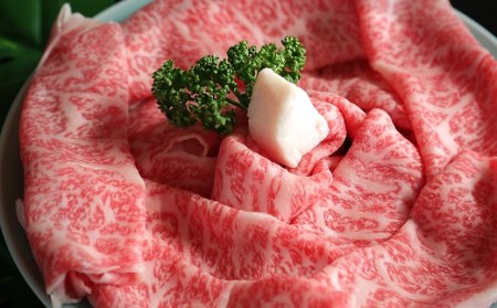 047-27　遠州夢咲牛　ロース　すき焼き肉　500ｇ