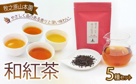 和紅茶 【 受賞歴多数 】 和紅茶セレクトプレミアムおすすめ5種セット 和紅茶 牧之原山本園