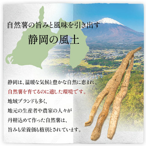 とろろ【ZIP!で紹介されました!】  山の貴婦人 300g × 4個 尾白弁当 とろろ 