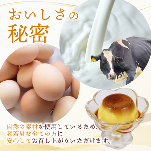 プリン 9個 一如プリン