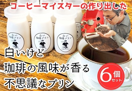 023-20　コーヒーマイスターの白いけどコーヒー風味の不思議なプリン6個入り　