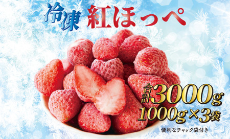060-1　冷凍いちご3㎏以上！！土にこだわる【濃く甘いちご紅ほっぺ】※1㎏以上×3袋