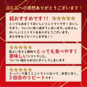 トマト 予約受付 国産 2kg ミニトマト