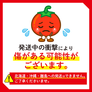 トマト 予約受付 2kg 2回発送 ミニトマト