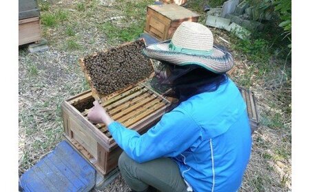 蜂蜜 ハニーボーイ　国産 蜂蜜 ミックスナッツ はちみつ