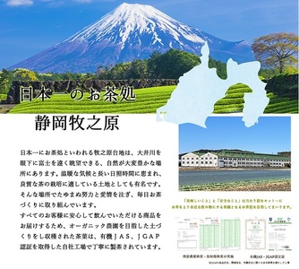 054-22　水出し専用 深蒸し茶 ティーバッグ(5g×20p)5袋 【 ティーバッグ 】