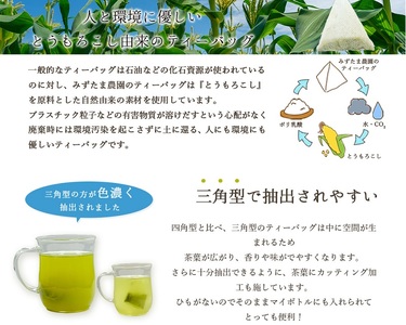 054-22　水出し専用 深蒸し茶 ティーバッグ(5g×20p)5袋 【 ティーバッグ 】
