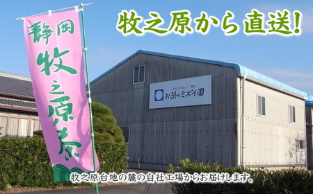 【深蒸茶】摘みたて！深蒸し茶100ｇ×6本 包装袋セット　牧之原市 お茶のミズイ園