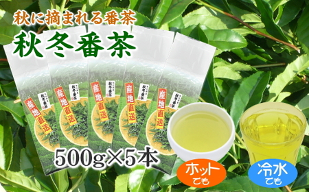 038-13　秋冬番茶　500ｇ×5本