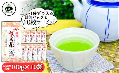 049-1　産地直送摘みたて深蒸し茶100ｇ×10本セット