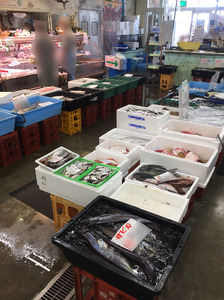 019-1　駿河湾のビックリ箱（スタンダード）