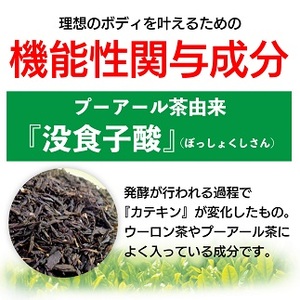 048-8　【定期便4か月】国産プーアール茶　SARYU-SOSO（5g×10ティーバッグ）×4回　＜機能性表示食品＞