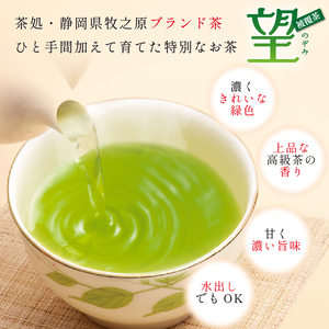 048-17 静岡牧之原市ブランド茶　極上　望　金印　100ｇ　2袋