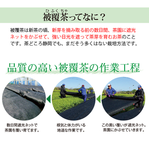 048-17 静岡牧之原市ブランド茶　極上　望　金印　100ｇ　2袋