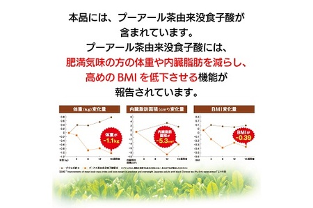 048-87　国産プーアール茶　SARYU-SOSO（2g×30ティーバッグ）×2袋セット　〈機能性表示食品〉