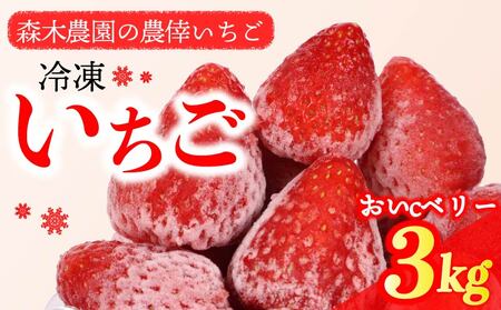 いちご 冷凍いちご いちご 3kg いちご