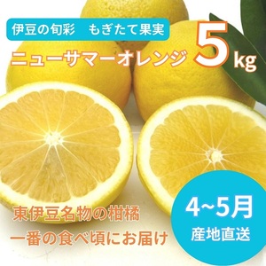 【伊豆のみかん・柑橘】もぎたて果実　ニューサマーオレンジ　5kg　A018 ／ 収穫体験農園ふたつぼり　柑橘　フルーツ　静岡県　東伊豆町