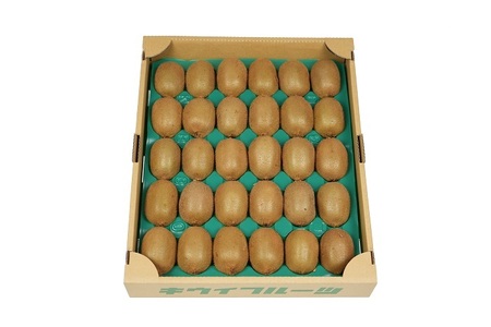 【ふるなびWEEK対象】東伊豆・佐藤農園のキウイ　家庭用　約3.2kg以上（Mサイズ～3Lサイズ） 1394 ／ 佐藤農園 果物 フルーツ 農家直送 静岡県 東伊豆町  FN-Limited-PR