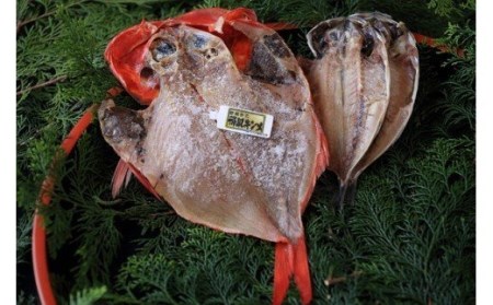 稲取キンメ　あじ　干物　詰め合せ　小　A013／寿し魚八　金目鯛　鯵　ひもの　静岡県　東伊豆町