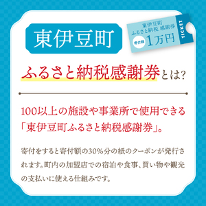 東伊豆町 ふるさと納税 感謝券 3000円 1066 ／ 静岡県 旅行 宿泊 食事 観光 チケット クーポン 補助 リフォーム ホテル 動物園 海鮮 みかん 金目鯛 稲取 熱川 ギフト 土産