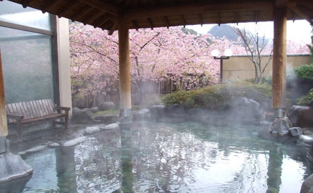 旅行 静岡県 入浴券 踊り子温泉会館 10枚分 温泉 入浴 露天風呂 観光 国内旅行 お出かけ 家族 ファミリー カップル 一人旅 記念日 チケット 宿泊券 旅行券 券 ギフト券 回数券 施設利用券 バナナワニ園 バガテル公園 静岡 河津 河津町