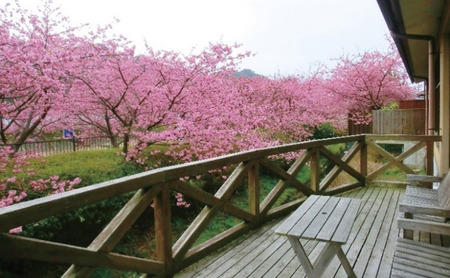 旅行 静岡県 入浴券 踊り子温泉会館 10枚分 温泉 入浴 露天風呂 観光 国内旅行 お出かけ 家族 ファミリー カップル 一人旅 記念日 チケット 宿泊券 旅行券 券 ギフト券 回数券 施設利用券 バナナワニ園 バガテル公園 静岡 河津 河津町