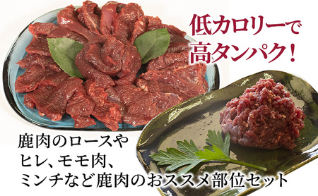【伊豆産シカ肉】シカ肉食べ比べセット（3kg） 鹿肉 シカ肉 ジビエ 高タンパク 高たんぱく 低カロリー 低脂肪 焼肉 ロース ヒレ モモ ミンチ 赤み 肉 お肉 山の幸
