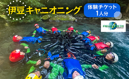 伊豆キャニオニング 体験チケット 1人分 伊豆ブルーキャニオン レジャースポーツ 体験 ウォーターアクティビティ スポーツ 静岡県 河津町